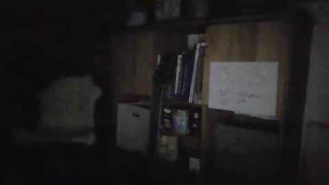 Snapshot of smiling_hillbilly chatting on January 27, 2025, 4:30 am smileing hillbilly online show from January 27, 2025, 4:30 am