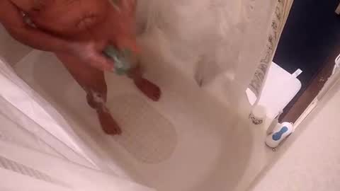 Snapshot of smithology chatting on January 5, 2025, 3:11 am Smithology online show from January 5, 2025, 3:11 am