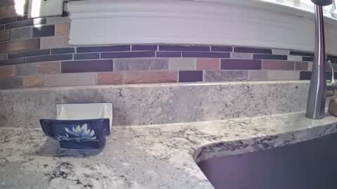 smthbtm53 online show from March 14, 2026, 1:16 pm