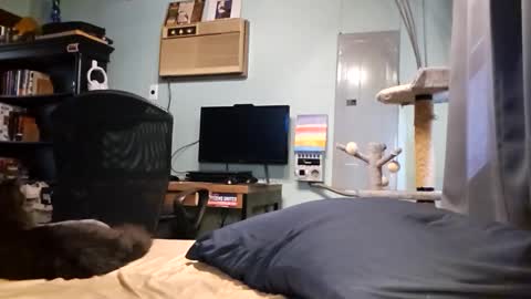 Snackyyyy online show from March 17, 2026, 6:00 pm