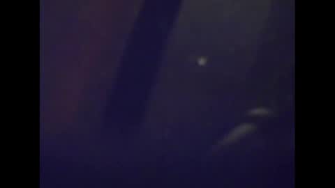 Mark online show from January 15, 2025, 5:08 am