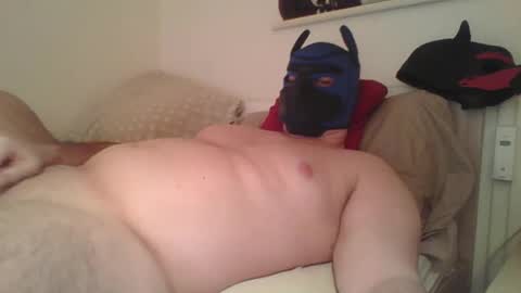 SoftPuppy online show from January 12, 2026, 9:09 pm