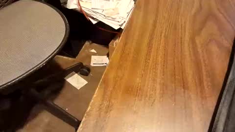 watchmecum online show from February 15, 2026, 1:09 pm