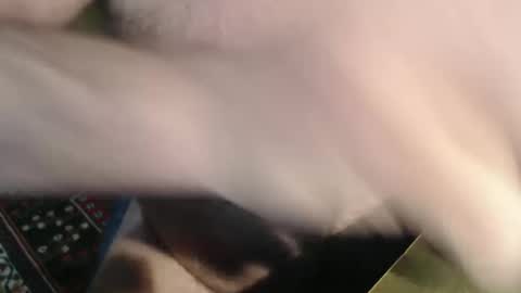 snudge432 online show from January 4, 2025, 4:22 pm