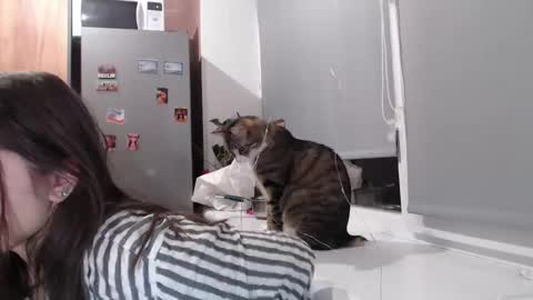 Sofi online show from February 11, 2025, 7:38 pm