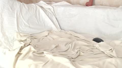 Sofia here online show from January 8, 2025, 8:06 am