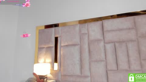 Snapshot of sofiscott_ chatting on December 27, 2024, 11:21 pm Sofia online show from December 27, 2024, 11:21 pm