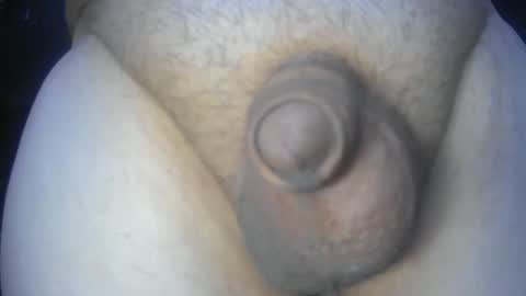 soft4you online show from May 1, 2026, 6:01 pm