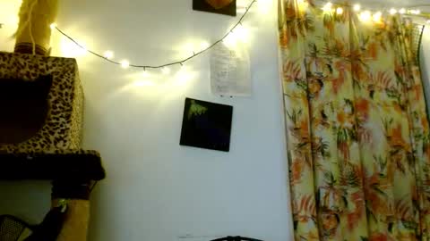 Snapshot of soka_lovers_04_ chatting on February 19, 2026, 3:46 am Sofia online show from February 19, 2026, 3:46 am