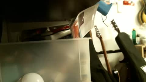 BruceWilly online show from January 26, 2025, 8:23 pm