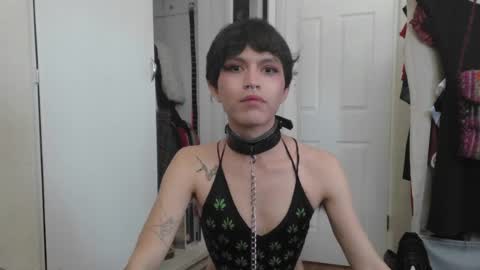 soophiebby online show from June 7, 2026, 2:21 pm