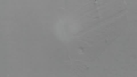 sophia_ebony___ online show from February 8, 2026, 1:14 pm