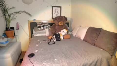 SofiTrans21 online show from February 21, 2025, 12:16 am