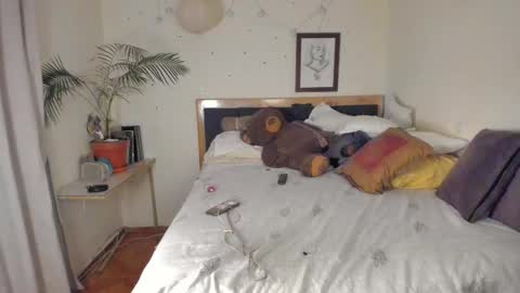 SofiTrans21 online show from November 24, 2025, 11:04 pm