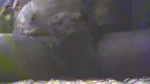 Golan online show from March 4, 2025, 7:32 pm