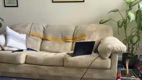 Snapshot of spaceman_fun chatting on March 28, 2026, 10:59 am spaceman_fun online show from March 28, 2026, 10:59 am