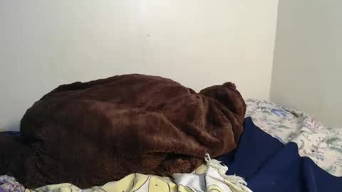 dela online show from February 2, 2025, 3:43 am