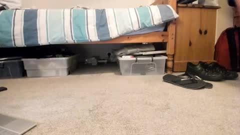 Snapshot of sportyguy283 chatting on January 18, 2026, 9:18 pm Sportyguy283 online show from January 18, 2026, 9:18 pm