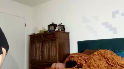 springs77 online show from November 8, 2025, 10:15 am