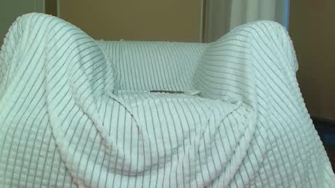 Amelia online show from October 31, 2025, 6:58 am