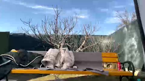 Snapshot of squirt_bunny77 chatting on March 7, 2025, 10:02 am My name is Maya Lush is activeThere are legends that in this room all your wishes can come true Private is Open online show from March 7, 2025, 10:02 am