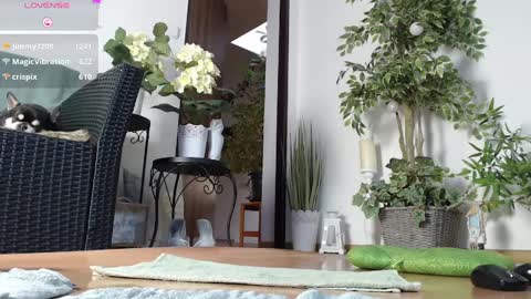 Monica online show from January 1, 2025, 7:20 am