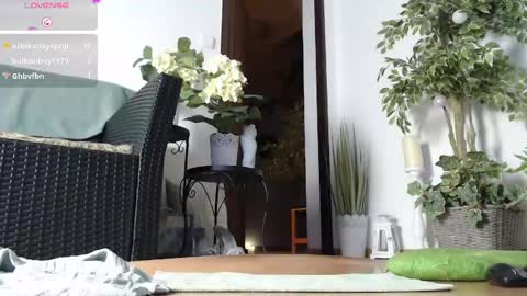 Monica online show from January 17, 2025, 6:04 am