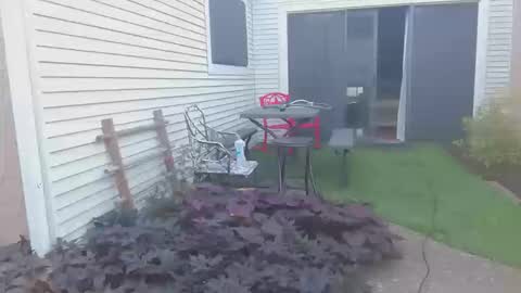 srtxshow online show from October 20, 2025, 12:49 pm