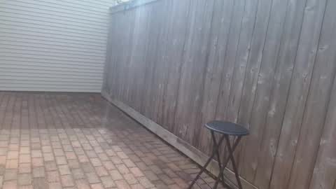 srtxshow online show from April 15, 2026, 3:41 pm