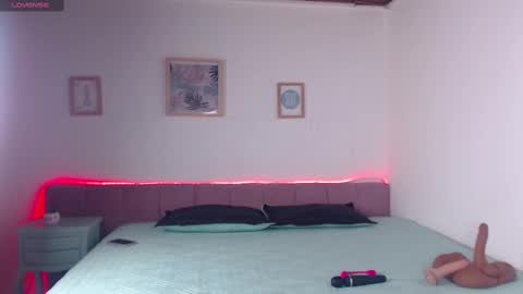 Snapshot of stacymaliibu chatting on February 13, 2025, 12:43 pm Stacy online show from February 13, 2025, 12:43 pm