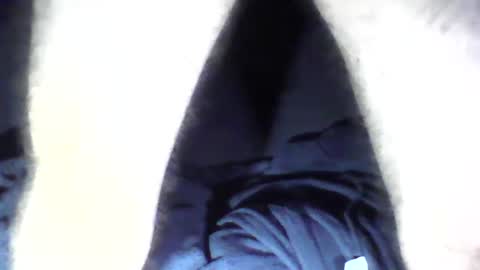 Snapshot of standuby chatting on December 24, 2024, 9:50 am Stan McAnimal online show from December 24, 2024, 9:50 am