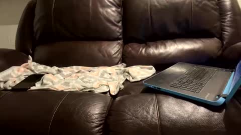 starr3095 online show from January 9, 2025, 6:06 am