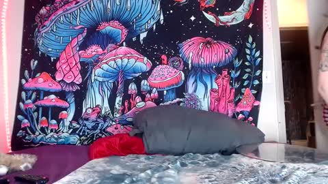 Star Vega online show from December 12, 2024, 10:45 am