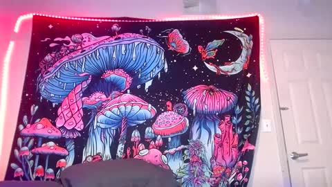 Star Vega online show from December 21, 2024, 7:03 am