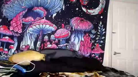 Star Vega online show from January 4, 2025, 5:58 am