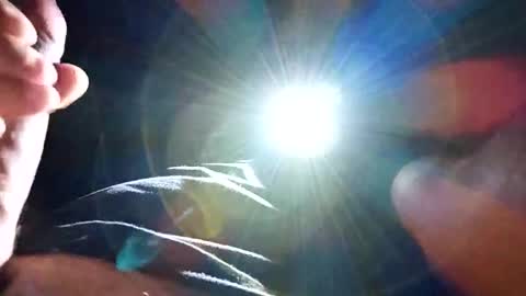 steb177 online show from November 18, 2025, 11:36 am