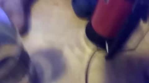 anube krato online show from October 19, 2025, 1:28 am