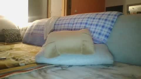 steki038434 online show from January 12, 2025, 2:03 am