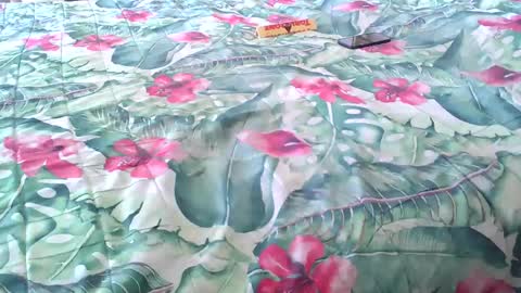 Rocco-load online show from April 4, 2026, 2:14 pm