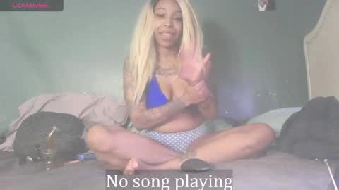 Stella Clitella online show from April 11, 2026, 7:24 am