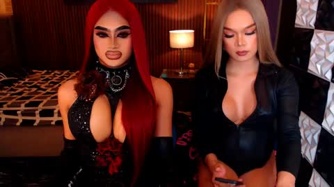 stellaperkins online show from June 8, 2026, 12:27 pm