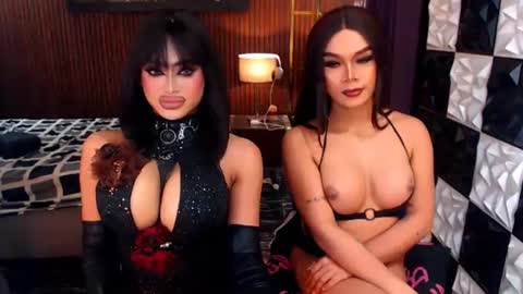 stellaperkins online show from June 11, 2026, 12:25 pm