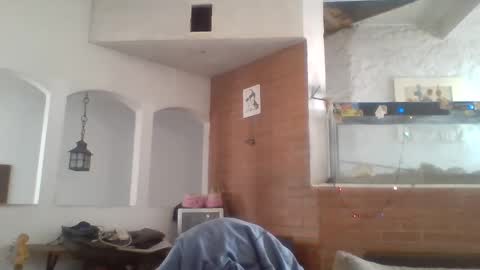 stevenson988 online show from December 26, 2024, 6:12 pm