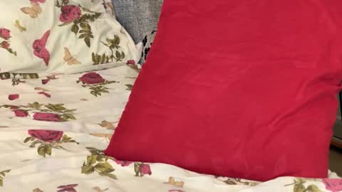 Chris online show from October 14, 2025, 8:37 am