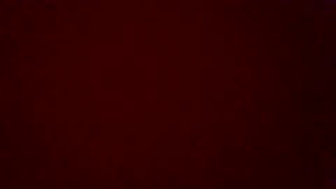 stiles91 online show from April 14, 2026, 6:08 am