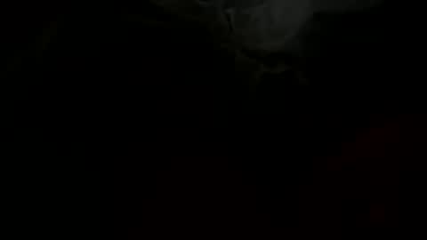 stockungs online show from February 14, 2025, 10:38 am