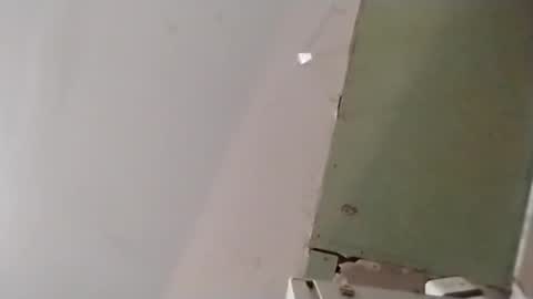 Oval2022 online show from April 14, 2026, 12:22 pm