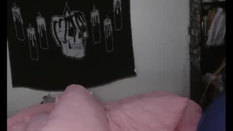 Snapshot of stoned2dabones666 chatting on December 5, 2024, 9:06 am Haily online show from December 5, 2024, 9:06 am