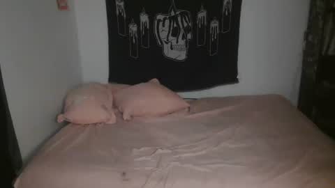 Snapshot of stoned2dabones666 chatting on March 3, 2025, 6:01 pm Haily online show from March 3, 2025, 6:01 pm