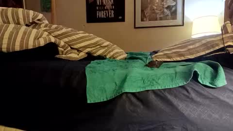 stoppageflo45662 online show from October 24, 2025, 10:55 am